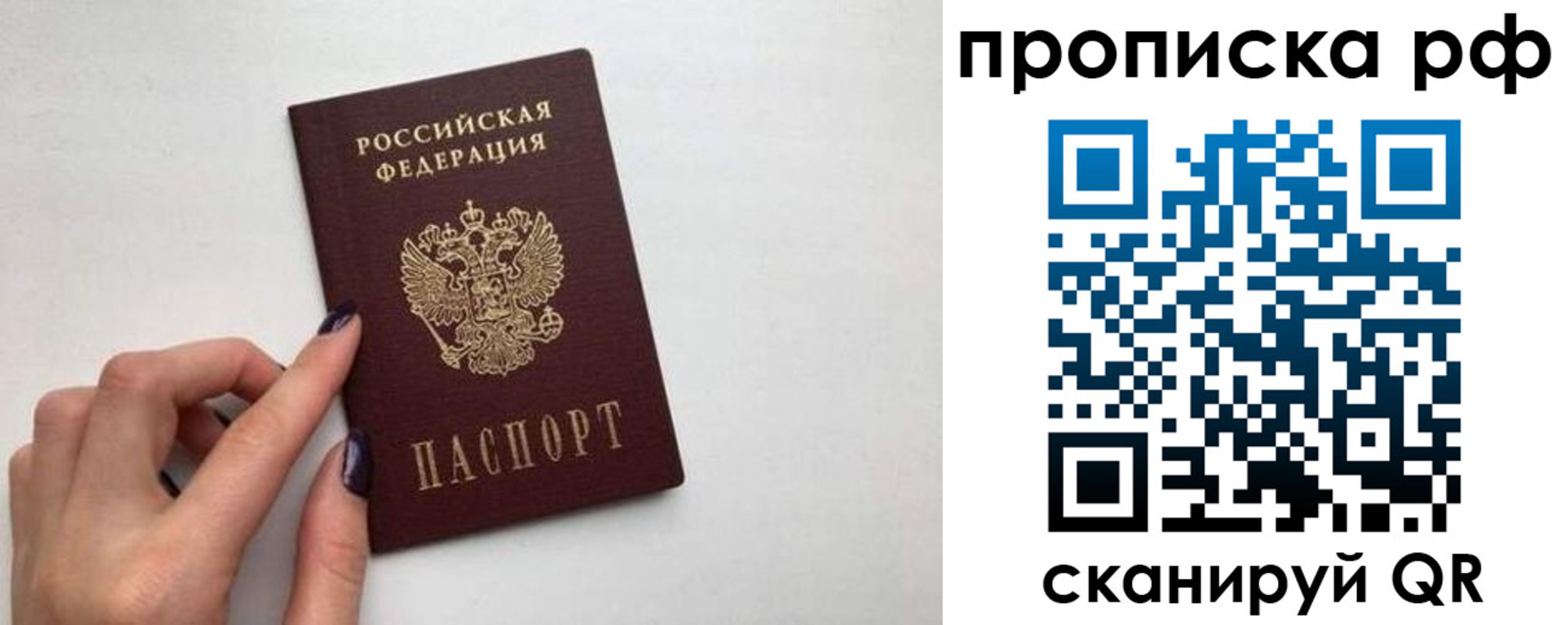 прописка в квартире в Кольчугино